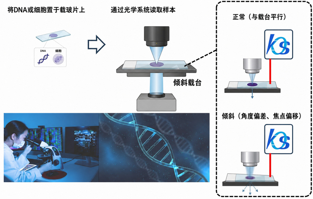 基因组分析中载玻片角度与姿态测量示意图